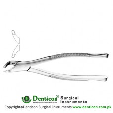 American Pattern Tooth Extracting Forcep Fig. 203 (For Lower Incisors, Canines and Premolars) Stainless Steel, Standard